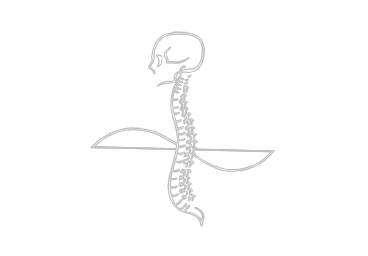 logo wirbelsaeule klein